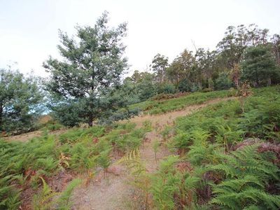 Lot 16 Waggs Gully Road, Ranelagh