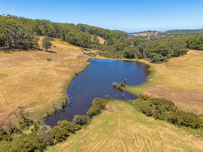 202 Dingo Flat Road, Tingledale