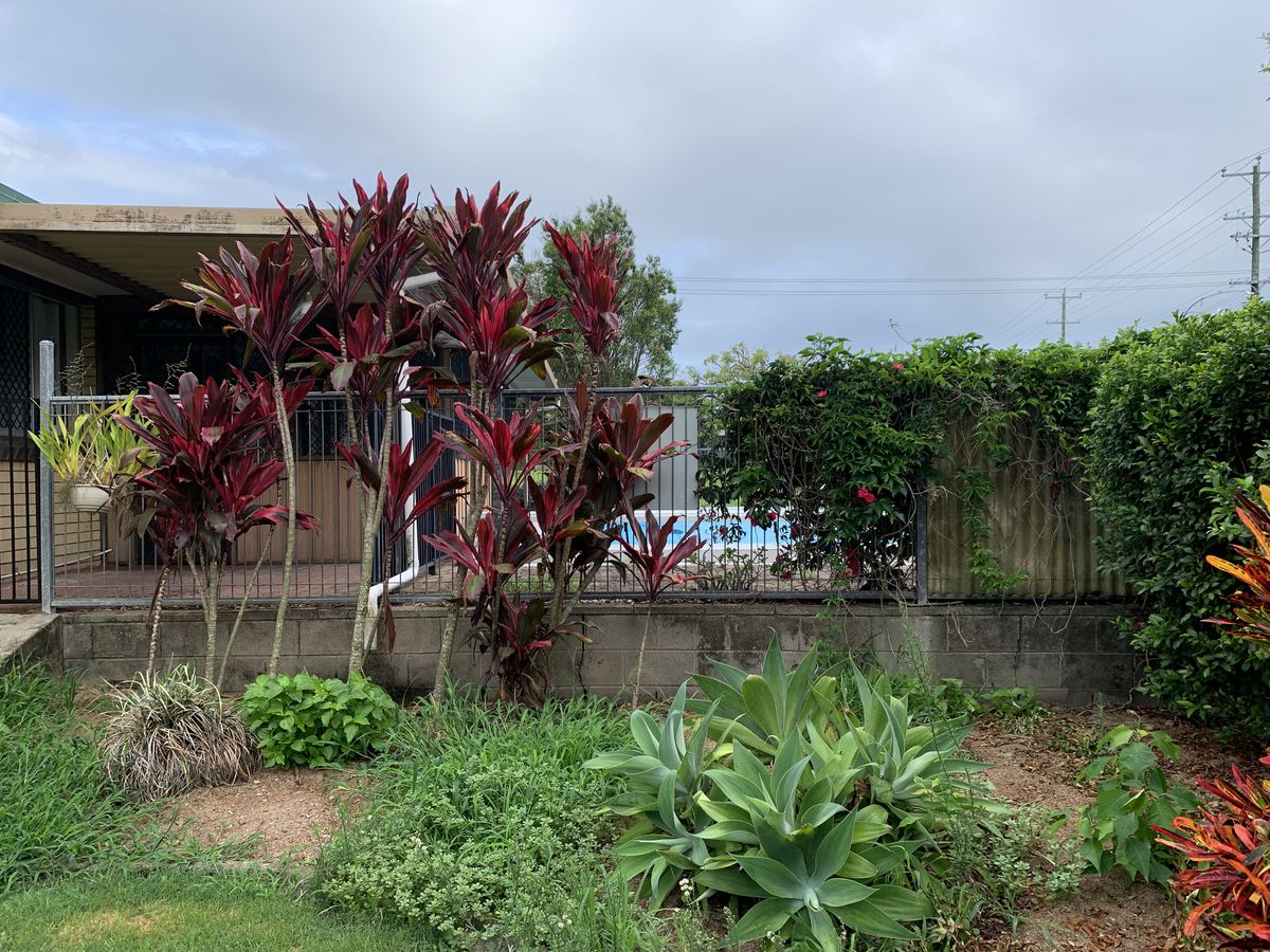 1A Flors Avenue, Mount Pleasant