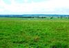 1413 Banjo Patterson Way, Cumnock