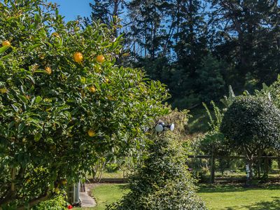 34 Park Avenue, Waikanae