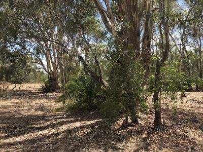 Lot 154, Murrabit Road, Koondrook