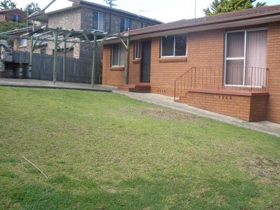 Mount Warrigal