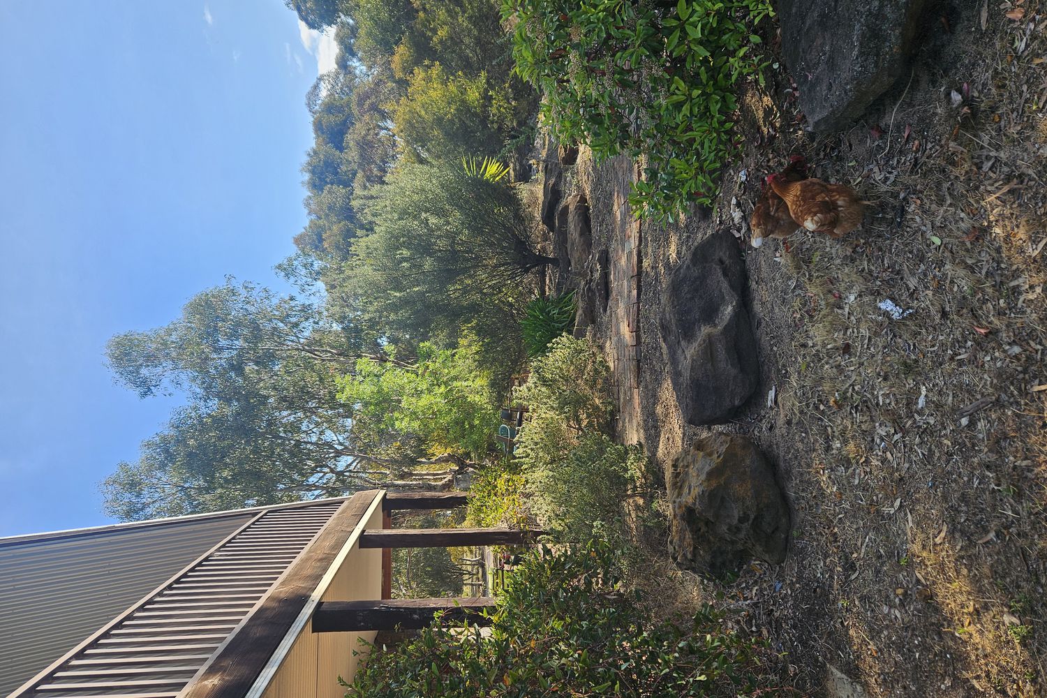 215 Hardinghams Road, Bungalally