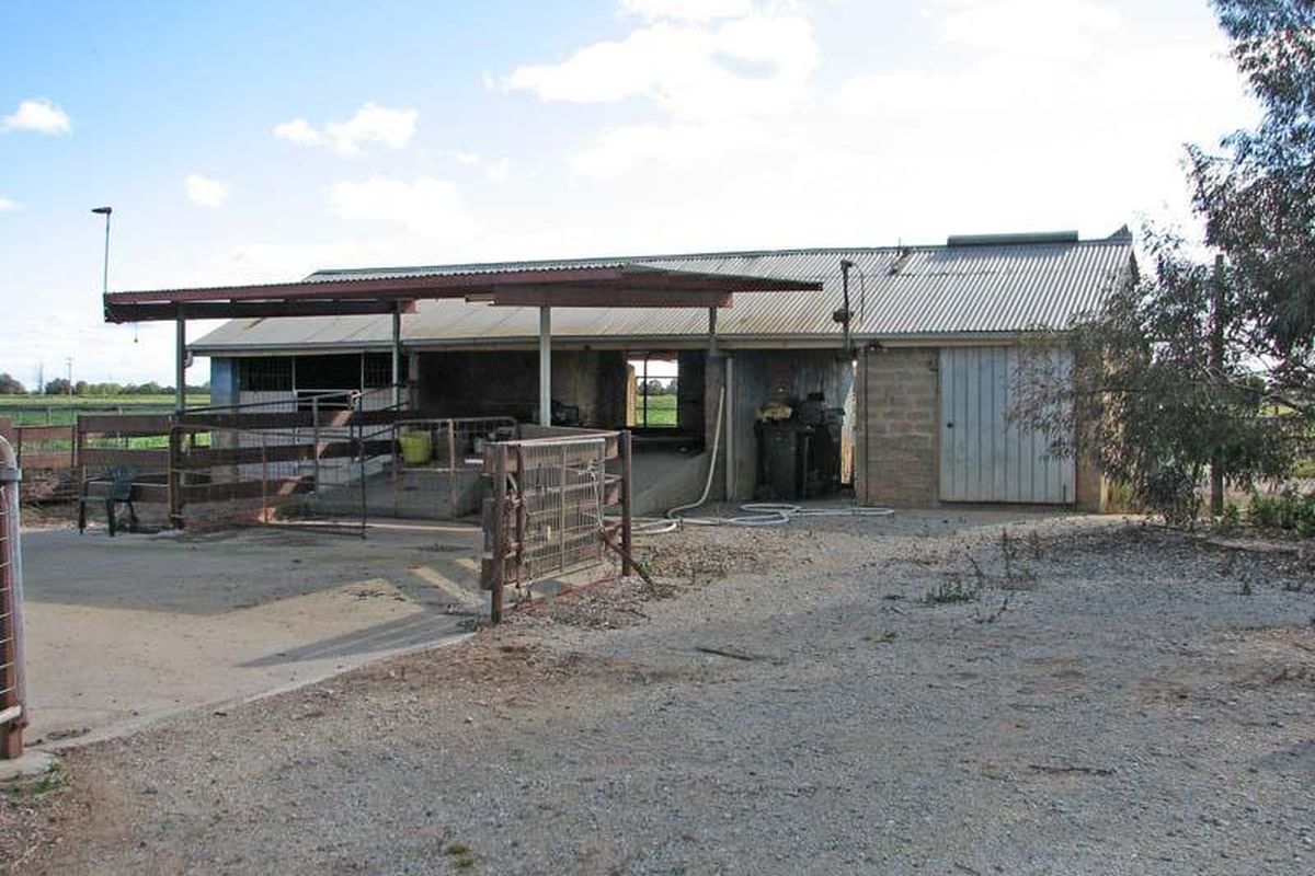 1736 Wilson Road, Tongala