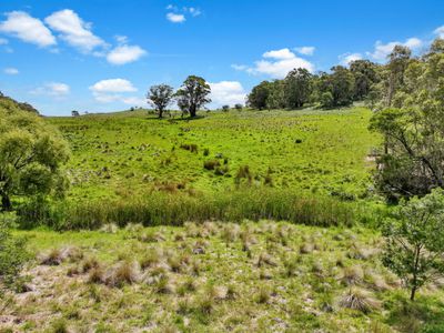 195 Halls Lane, Braidwood