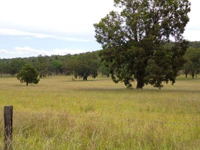 Tambar Springs