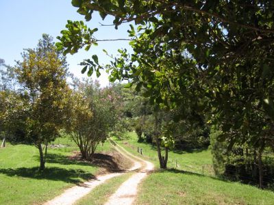 162 Walli Creek Road, Kenilworth