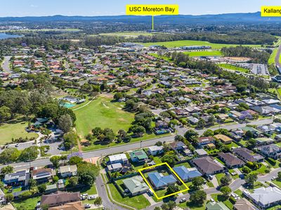 3 Albany Court, Murrumba Downs