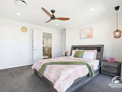 9  Flametree Drive, Marsden Park