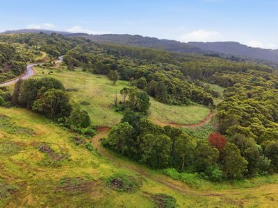 28834 Tasman Highway, Weldborough