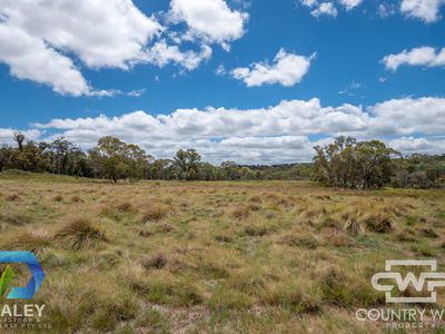 Lot 214, - Piggery Road, Red Range