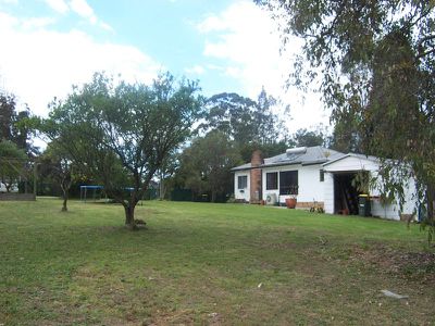 Morisset