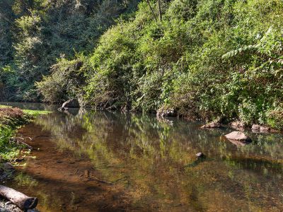 1242 Tuntable Creek Road, Nimbin