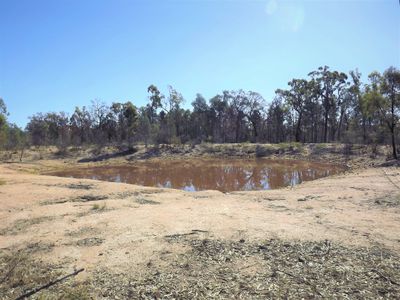 15001 Bruxner Highway, Bonshaw