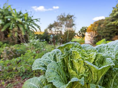 25 Hilltop Cresent, Maleny