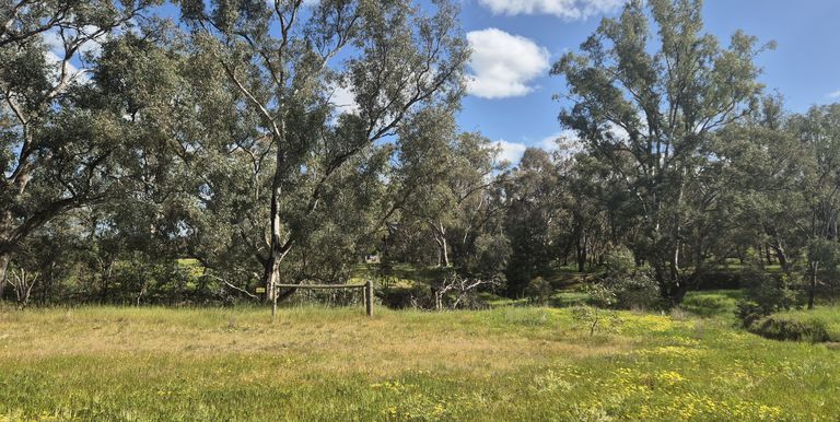 393 Mansfield Road, Euroa