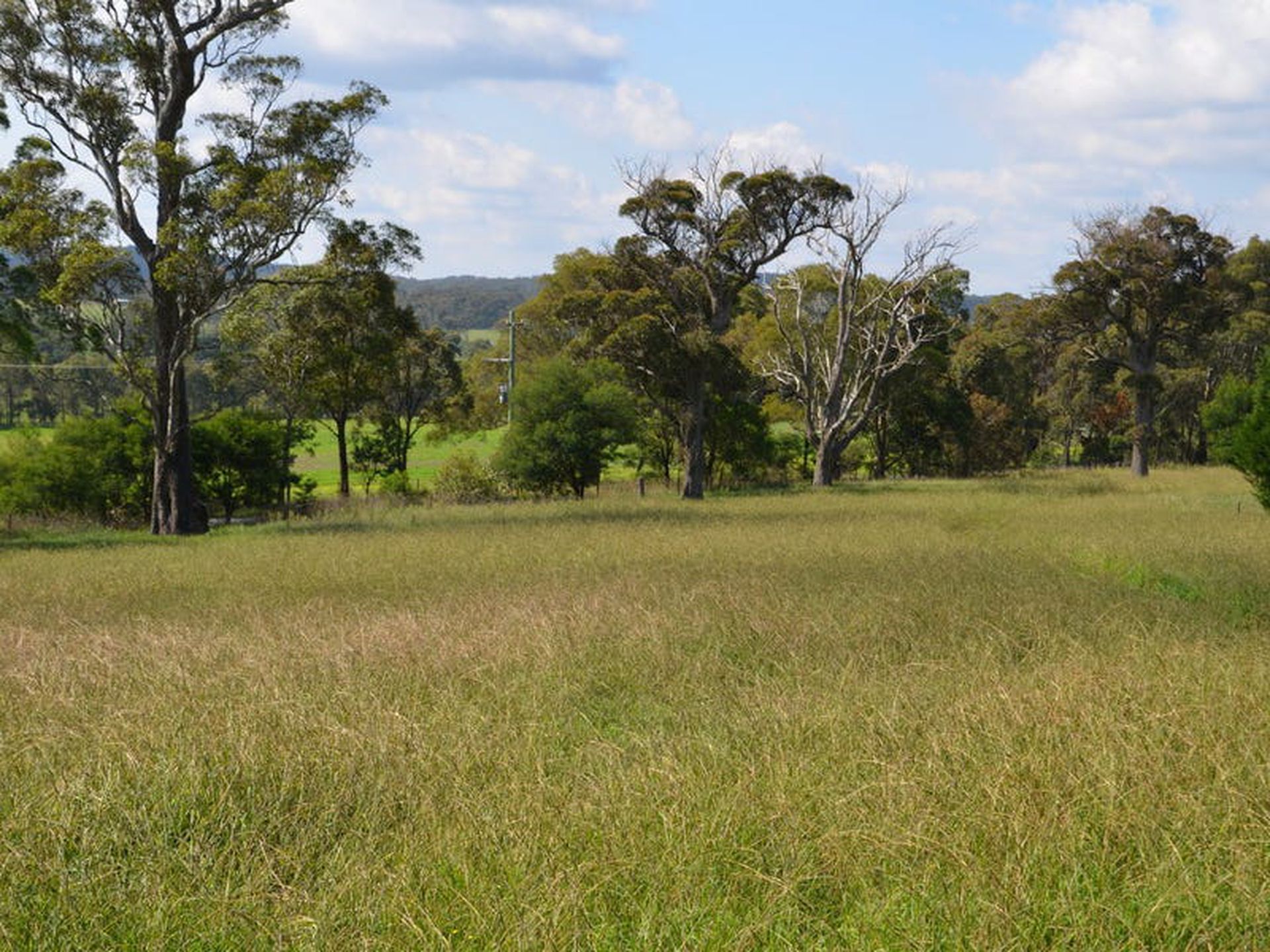 Lot 11, 291 Wombeyan Caves Road, Mittagong, Mittagong - Thumbnail 2