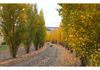 579 Browns Creek Road, Blayney