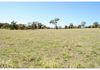 142 Darcy Brown Place, Orange