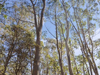 71 Lake View Road, Lake Leake