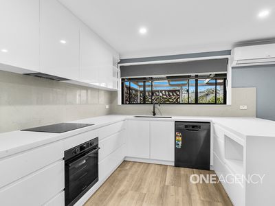 17 Coconut Drive, North Nowra