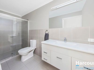 20 Bettie McNee Street, Watson