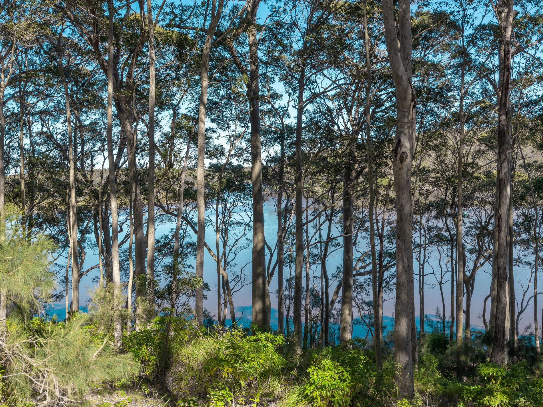 8 William Street, Kings Point