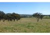 6026 Burrendong Way, Stuart Town