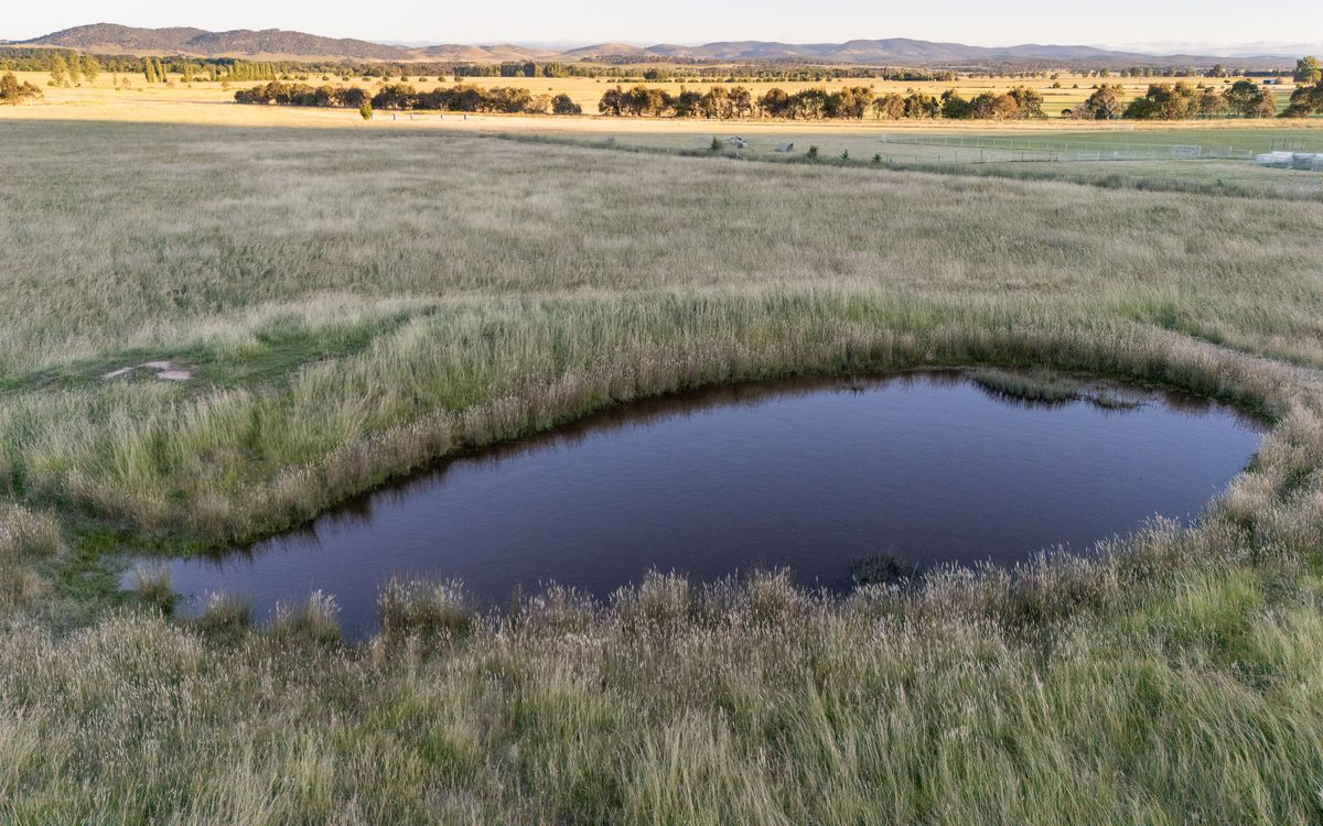 29 Mathews Lane, Bungendore
