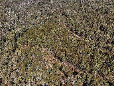1  Part of 160 Sand Marsh Road, Woodsdale