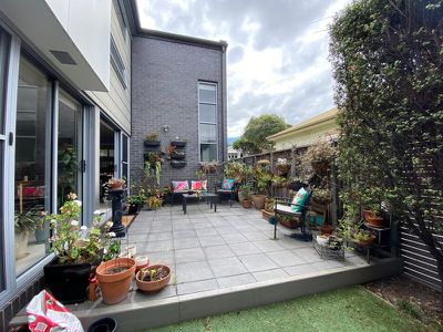 1 / 71 Clarke Street, Newtown