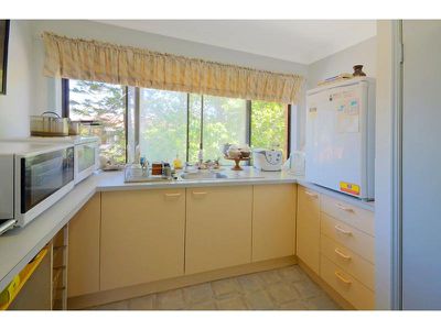 45 Lowry Street, Peregian Beach