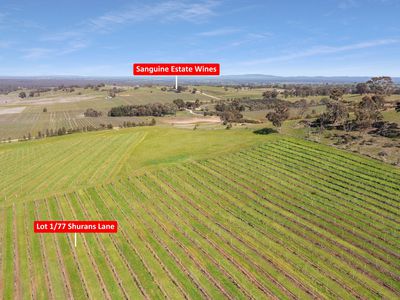 77 Shurans Lane, Heathcote
