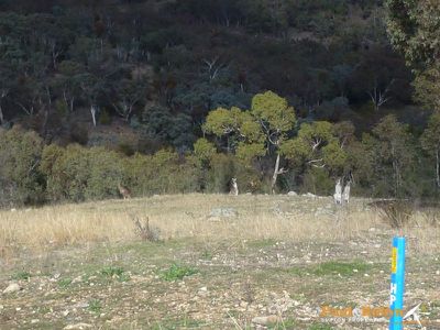 23 Balcombe Street, Jerrabomberra