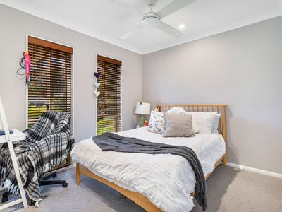 8 Dapples Court, Burleigh Heads