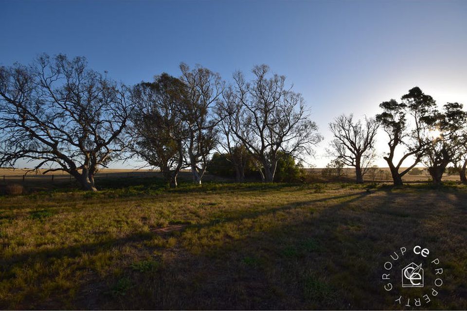 Angas Valley