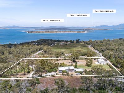 57A Franklin Parade, Lady Barron
