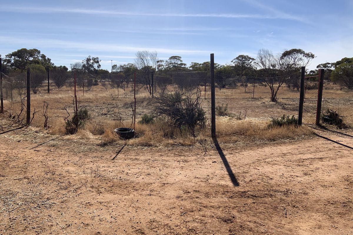 107 Danberrin Road, Nungarin