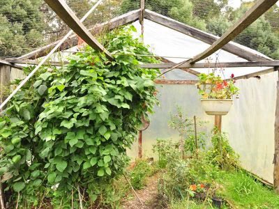 294 Brittains Road, Garden Island Creek