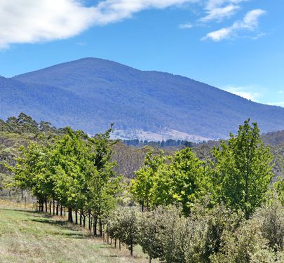 760 Wallaces Gap Road, Braidwood