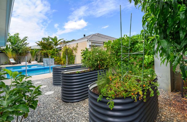 79 Saint James Drive , Baldivis