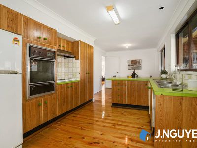 20 Broadmeadows Street, St Johns Park