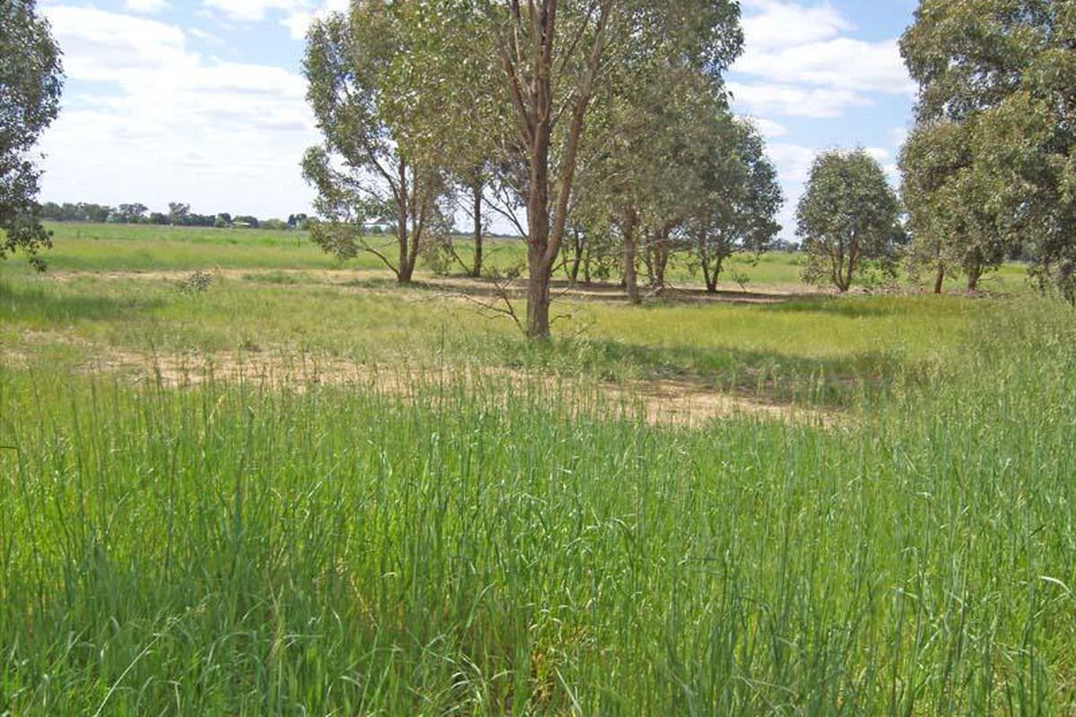 Lot 1 McKenzie Road, Lancaster