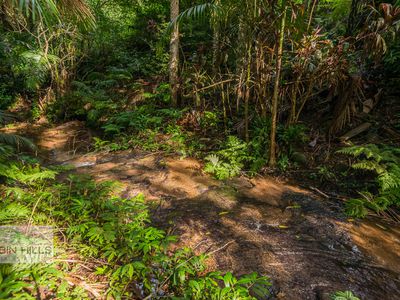 2 / 269 Upper Tuntable Falls Road, Nimbin