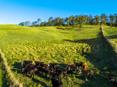 372 Ettrick Road, Kyogle