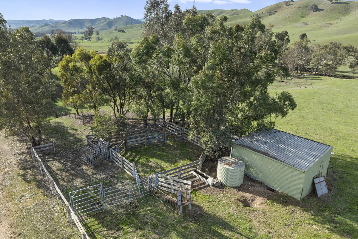 251 Woolshed Road, Woodfield