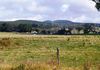 1083 Forest Road, Orange