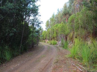 Office SO / Lot 1 Uthwood Road, Lonnavale