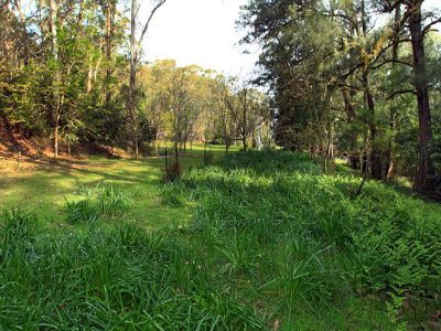 230 Allans Road, Kangaroo Valley
